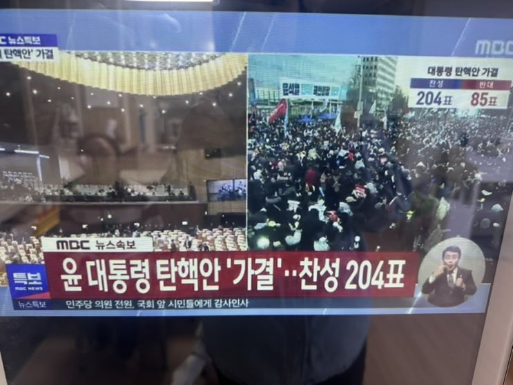 23표의 적극,소극적 투표