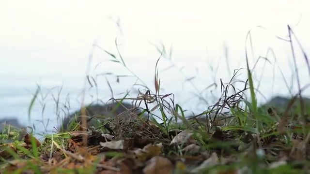  일본 가족여행 준비해야 한다면 , 현지 전문가 에게 먼저 연락주세요. (무료 서비스)