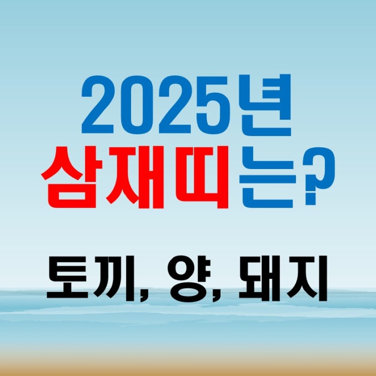  25년 삼재띠 토끼 양 돼지 운세 극복하기