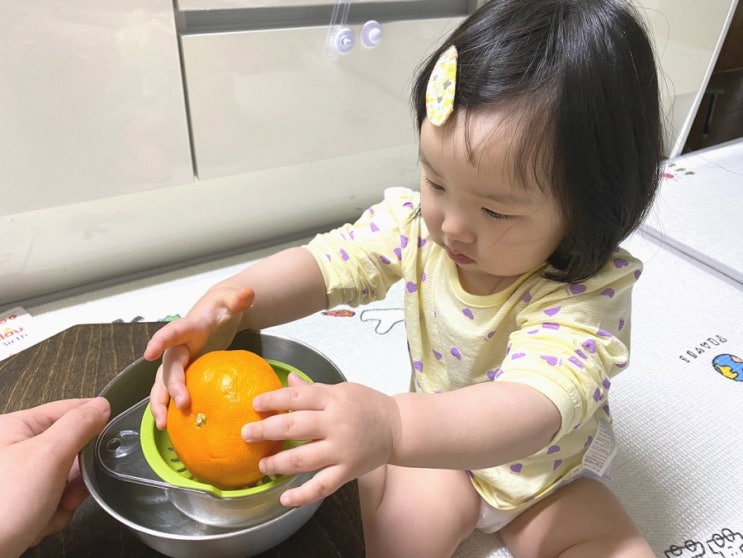  아기 귤 언제부터 먹는시기 귤효능