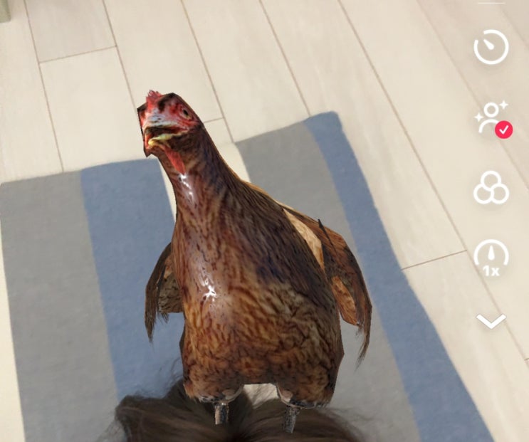 인스타 닭피하기 게임 ㅣ 꼬끼오챌린지 하는 법 ㅣ 틱톡게임 ㅣ 닭옮기기게임