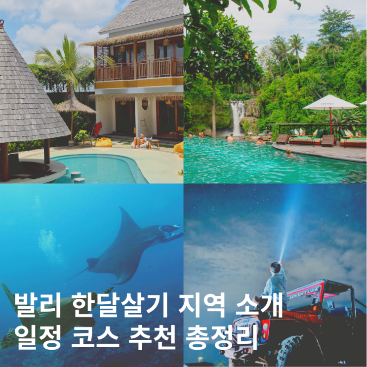  발리 한달살기 일정 + 지역 여행 코스 치안 물가