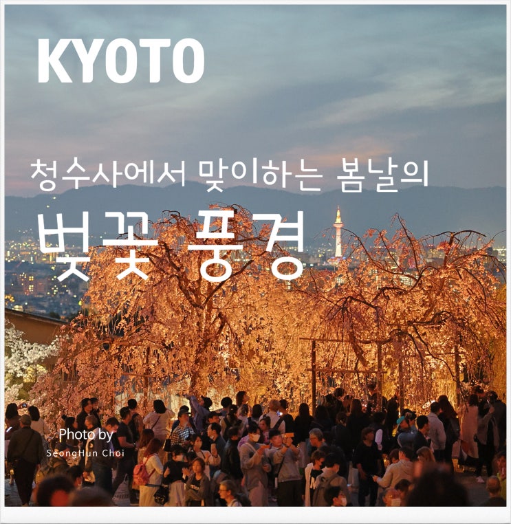  교토 청수사에서 맞이하는 봄날의 벚꽃 풍경