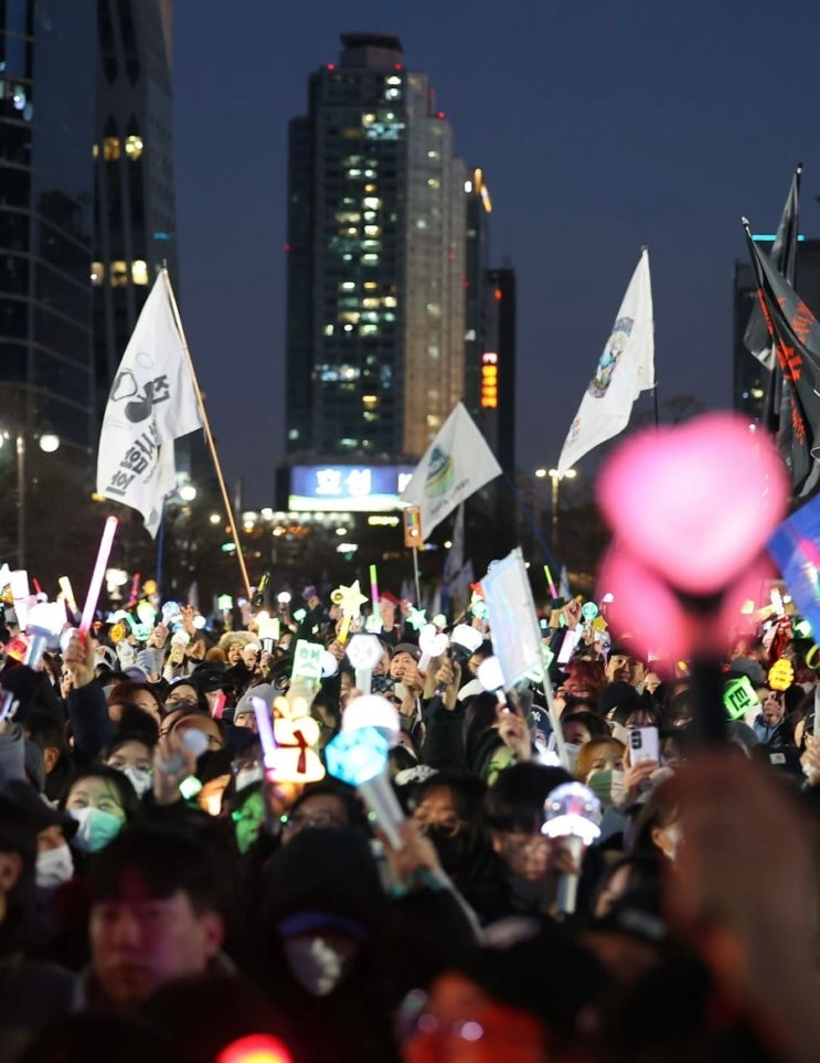 <b>윤석열 탄핵 가결</b> 뜻 이후 헌법재판 정리