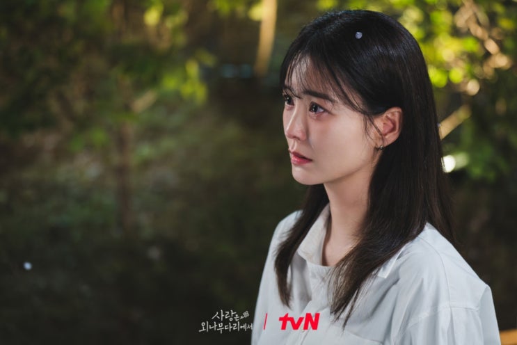 [<b>사외다</b>] 7화: <b>주지훈</b>&<b>정유미</b> "나랑 진짜 연애하자" + 8화 찐연애... 