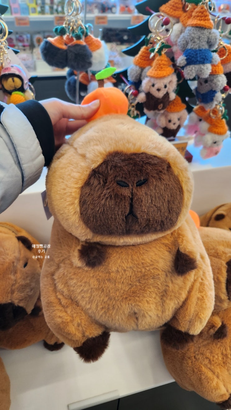  화성 대형 카페 애월빵공장 융건릉 방문후기