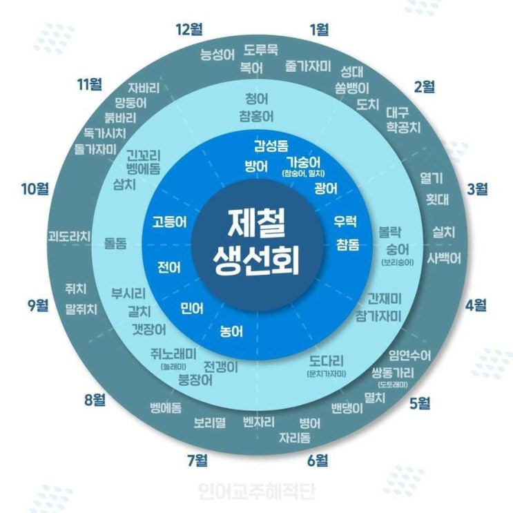  핸드폰 사진첩에서 쓸모없는 사진 캡션 달아서 털기