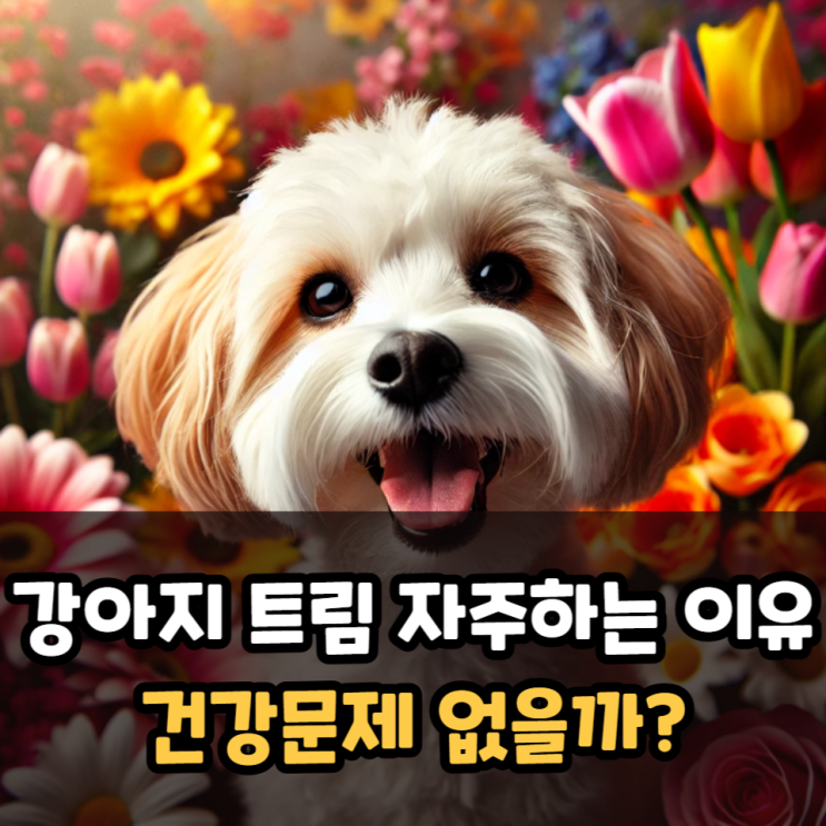  강아지 트림 자주하는 이유 건강문제는 없을까?