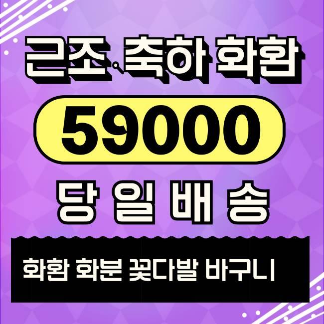  화환가격 당일 배송 보내기 비용 싼곳 소개드려요