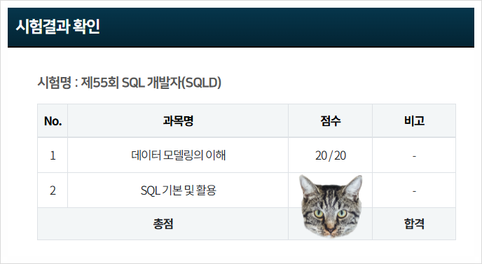  SQLD 시험 결과 확인 및 합격 발표, 시험장 후기까지