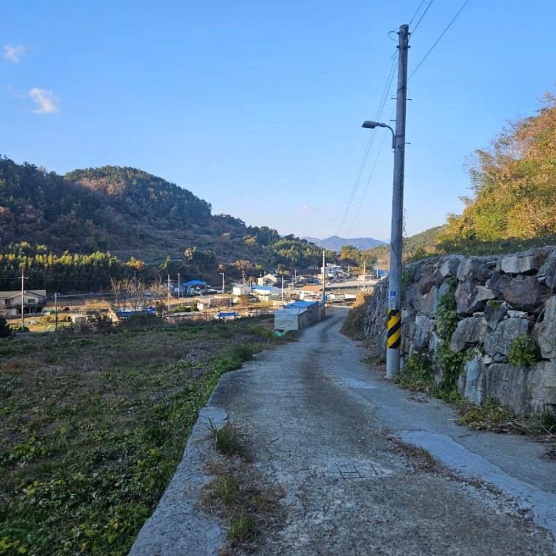 사진 11