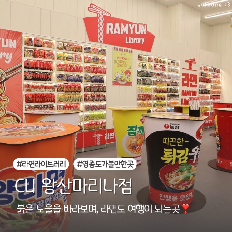  석양이 아름다운곳 CU왕산마리나점에서 라면라이브러리까지