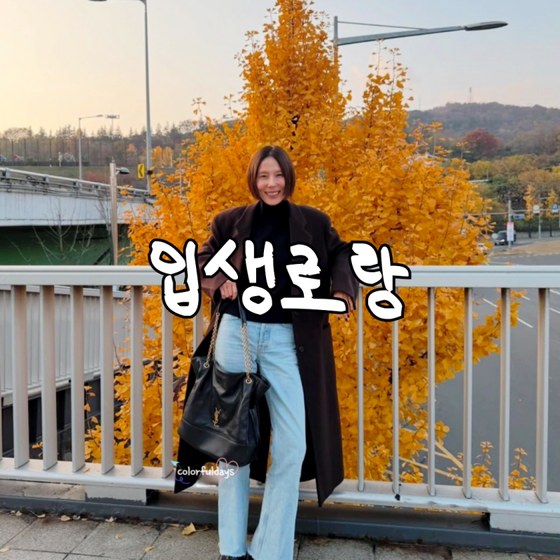 연예인 보부상 김나영 가방은? 입생로랑 제이미 토트백 여자가방 추천