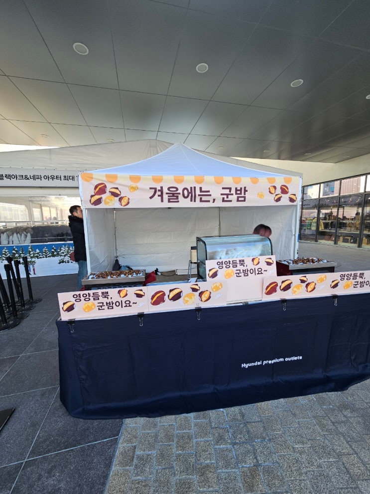 군밤/단밤 겨울의 맛을 느껴보세요