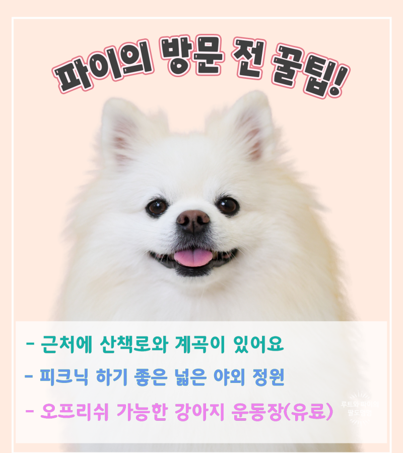 사진 2