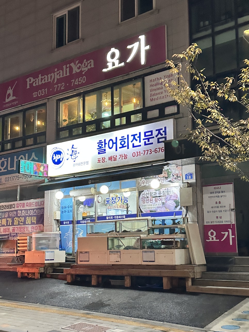 청정해 사진 2