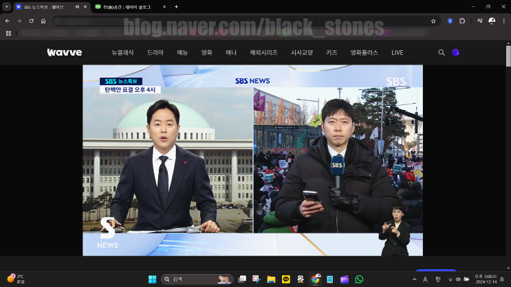 - 241214, 대통령 <b>탄핵안</b> 표결 + 추가 _ <b>가결</b>