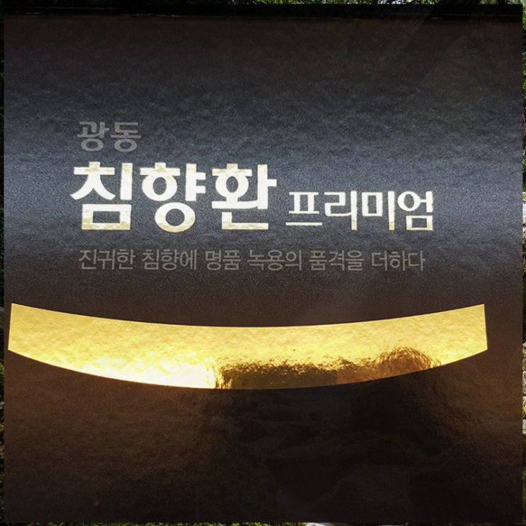  광동 침향환 프리미엄 가격 상세하게 정리