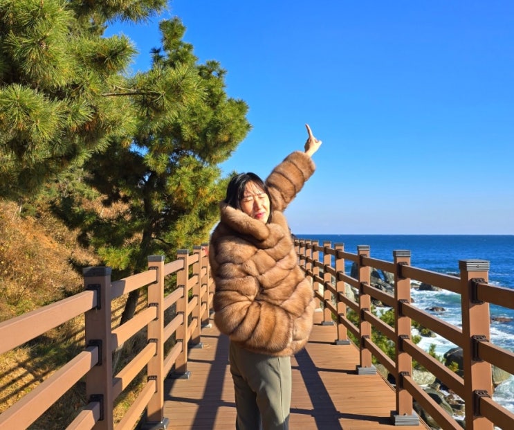  속초 외옹치항 둘레길 '바다향기로' 현실 후기 | 롯데리조트 테슬라 충전소부터 인생샷 명소까지 완벽정리