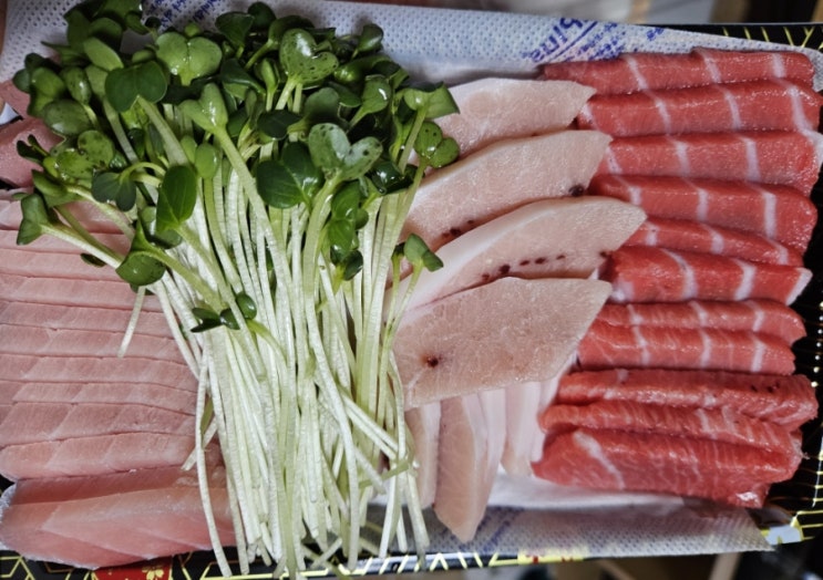  마산 참치 우리동네참치정육점 2번째 방문 솔찍후기
