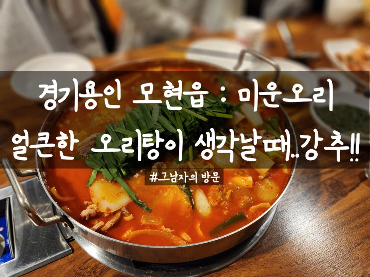  [경기용인 모현읍] 미운오리 : 얼큰한 오리탕이 먹고 싶을 때(경기 광주 맛집추천)