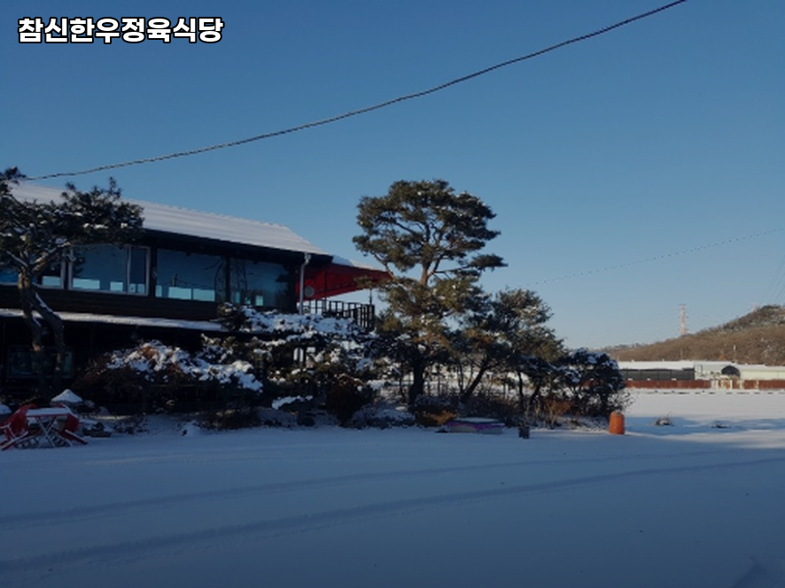 참신한우 사진 4