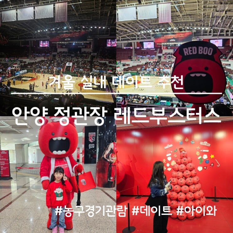 겨울 실내 데이트 추천, <b>프로농구</b> 경기 관람했어요(안양 <b>정관장</b>... 