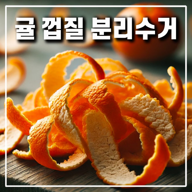  귤껍질 분리수거 일반 쓰레기인가 음식물 음쓰인가 효능과 활용까지