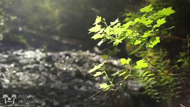  벡스코 결혼박람회 스드메 패키지 가격비교 : , 결혼박람회에서 결혼준비 스마트하게 점검하는 방법