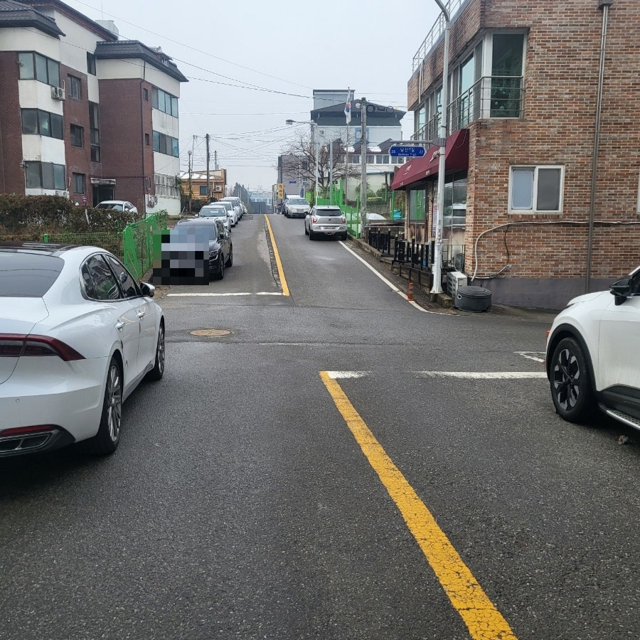 다솜동물병원 사진 4
