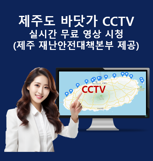 제주도 바닷가 CCTV 실시간 무료 영상 시청(제주 재난안전대책본부 제공)