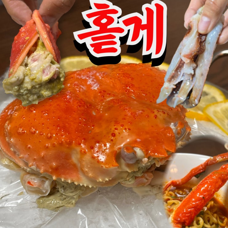  1마리 9만원 대게 홑게회 솔직 후기 (+홑게뜻, 홑게 파는곳)