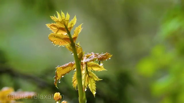  부동산처분신탁 , 부동산자산관리전문가 혼자서 독학으로 부동산자산관리사자격증 합격 전략