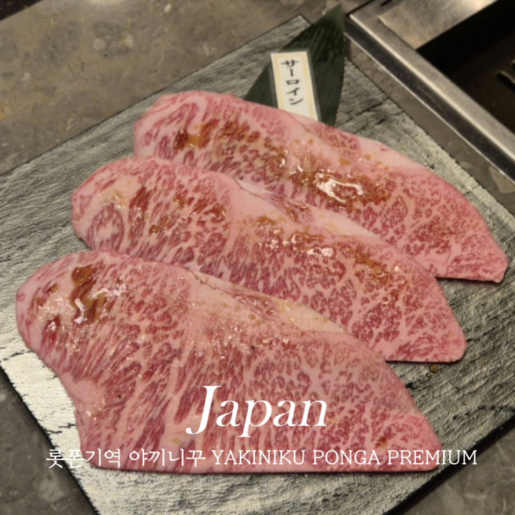  롯폰기역 야키니쿠 우설 맛집 YAKINIKU PONGA PREMIUM