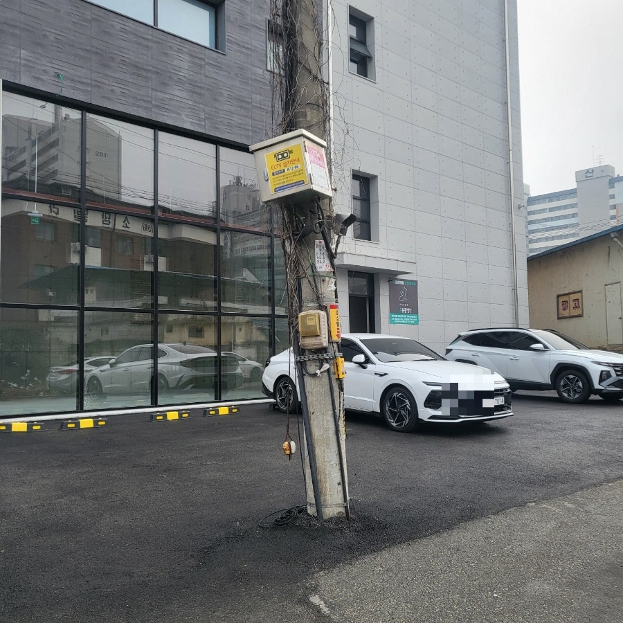 다솜동물병원 사진 3
