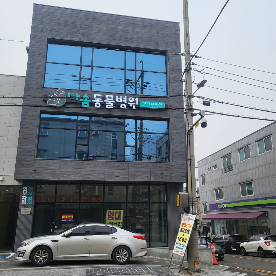 다솜동물병원 사진 1