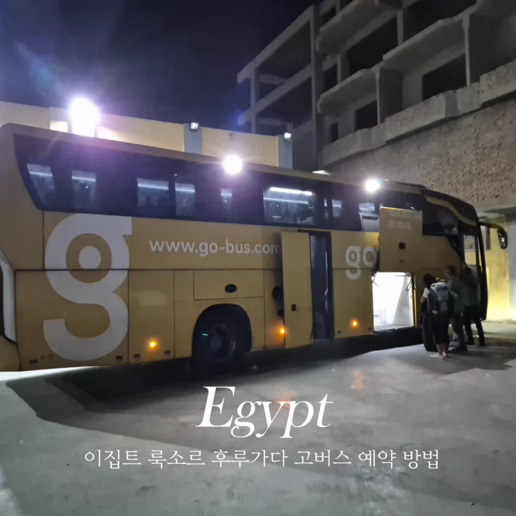  이집트 고버스 예약 룩소르 후루가다 이동 버스 예약 방법
