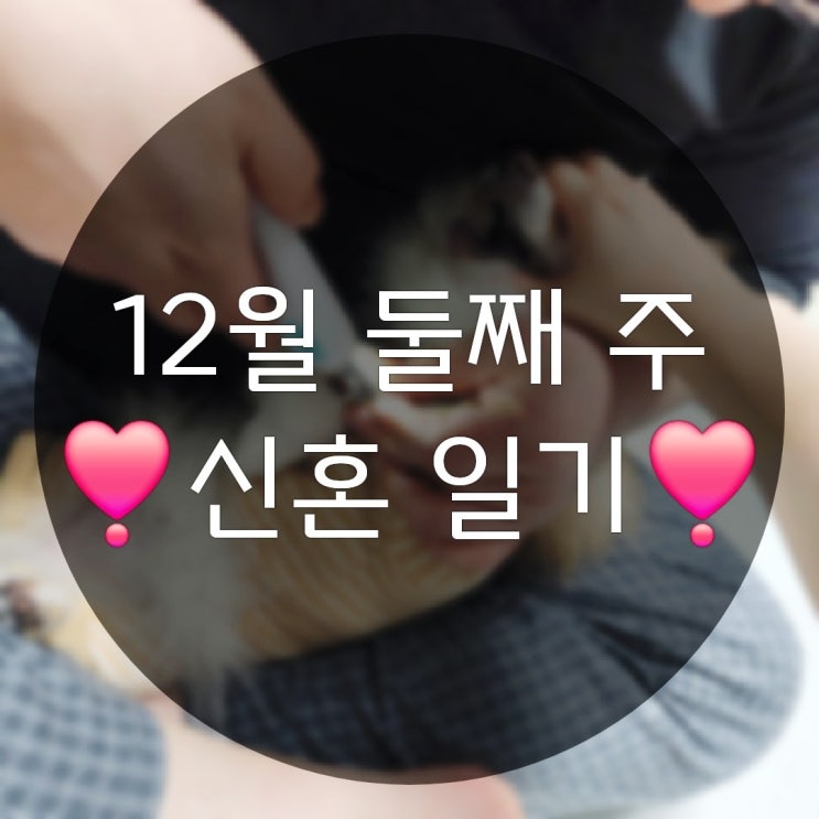  12월 둘째 주의 신혼 일상(써모스 텀블러 벤볼릭 차량용방향제)