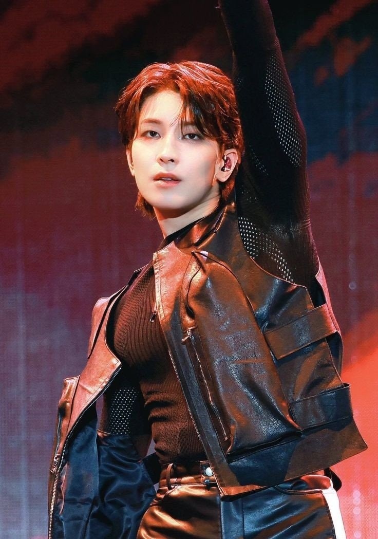 Exploring SEVENTEEN: Member Introduction 6 - Born to Be SEVENTEEN, Meet Wonwoo, SEVENTEEN's Cat