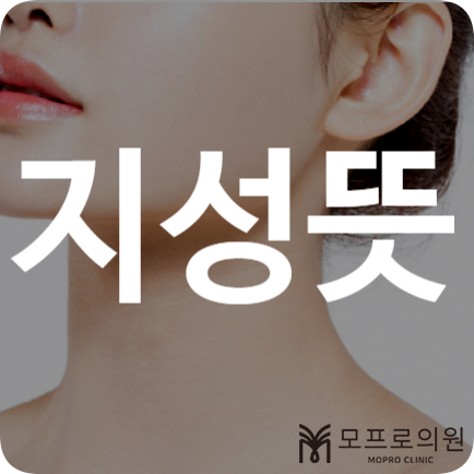 지성뜻 건성뜻 복합성 피부 차이 관리 유분 보습 노화