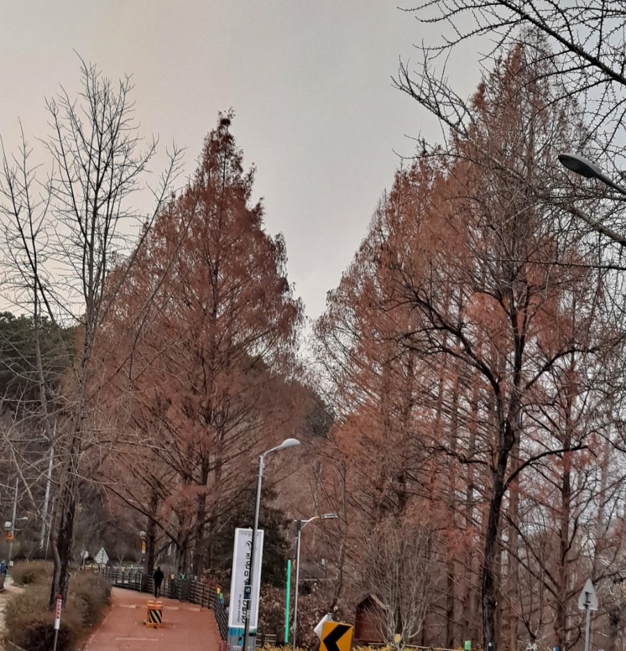 조마루감자탕 신탄점 사진 2
