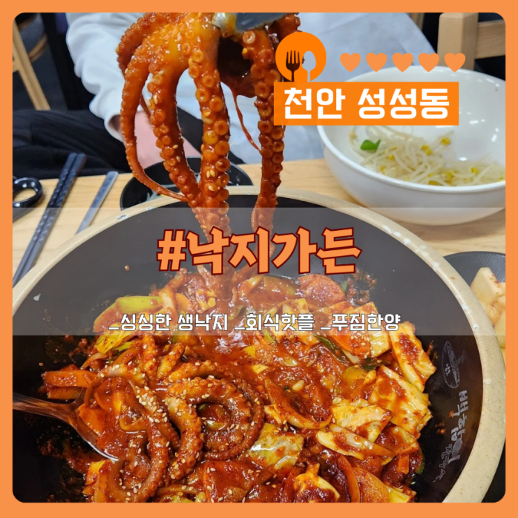  천안 성성동 숨은 맛집 낙지가든, 가성비 낚지볶음 후기