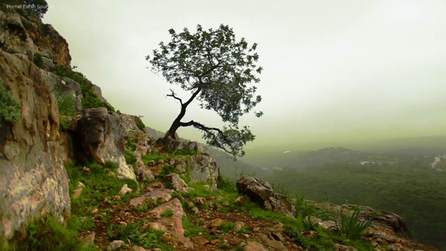  웨딩스튜디오 추천 결혼 준비 의 모든 것 , 결혼박람회에서 스마트하게 체크하는 방법