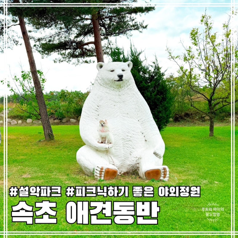 카페 설악파크