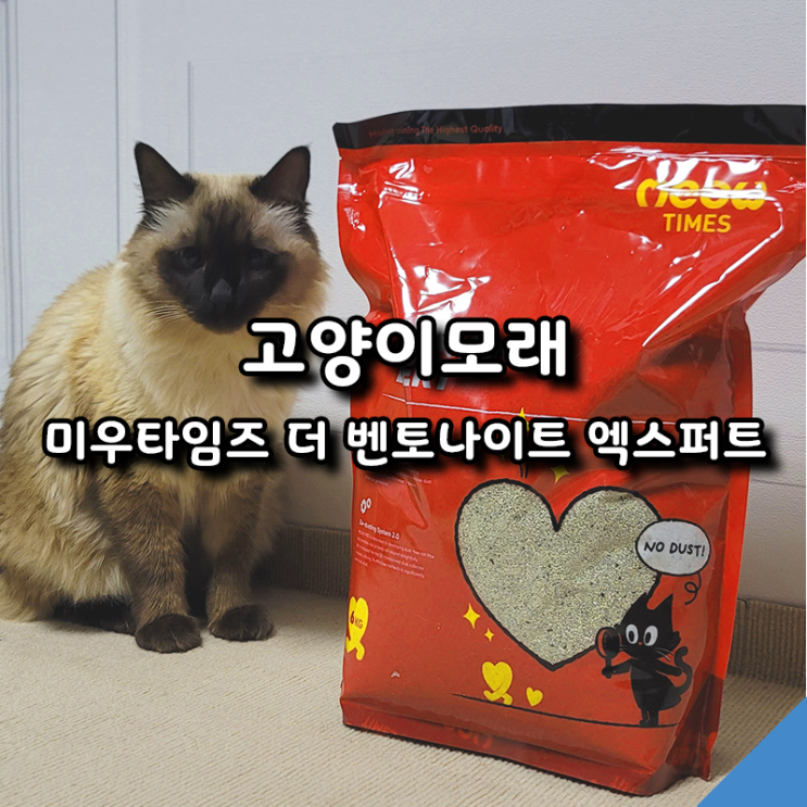  미우타임즈 더 벤토나이트 엑스퍼트로 모래 고민 끝! 구독서비스로 저렴하게