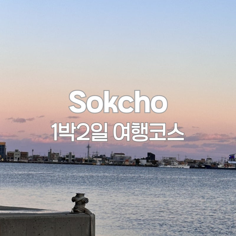 사진 9