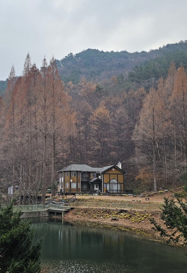  대전 가볼만한곳 온빛자연휴양림 메타세콰이어 산책