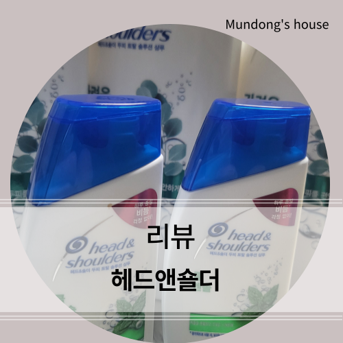 가려운 두피와 비듬문제 [헤드앤숄더] 두피 토탈 솔루션 가려운 두피 케어 샴퓨