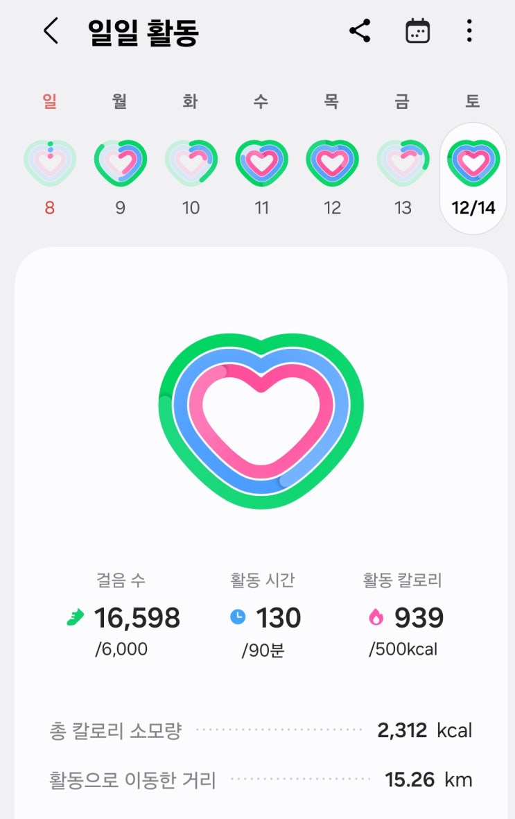  분당 중앙공원 러닝 하기#1
