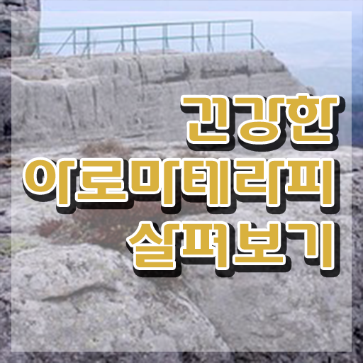  아로마뷰티diy지도사 응시자격 확인 , 아로마뷰티DIY지도사 자격증 간단하게 취득했던 후기 궁금증 해결